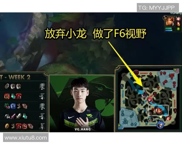 赛后分析：IG与V5对决中的战术运用与思考